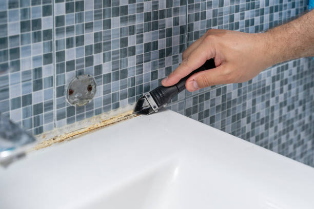 Office Mold Removal Services in French Valley, CA